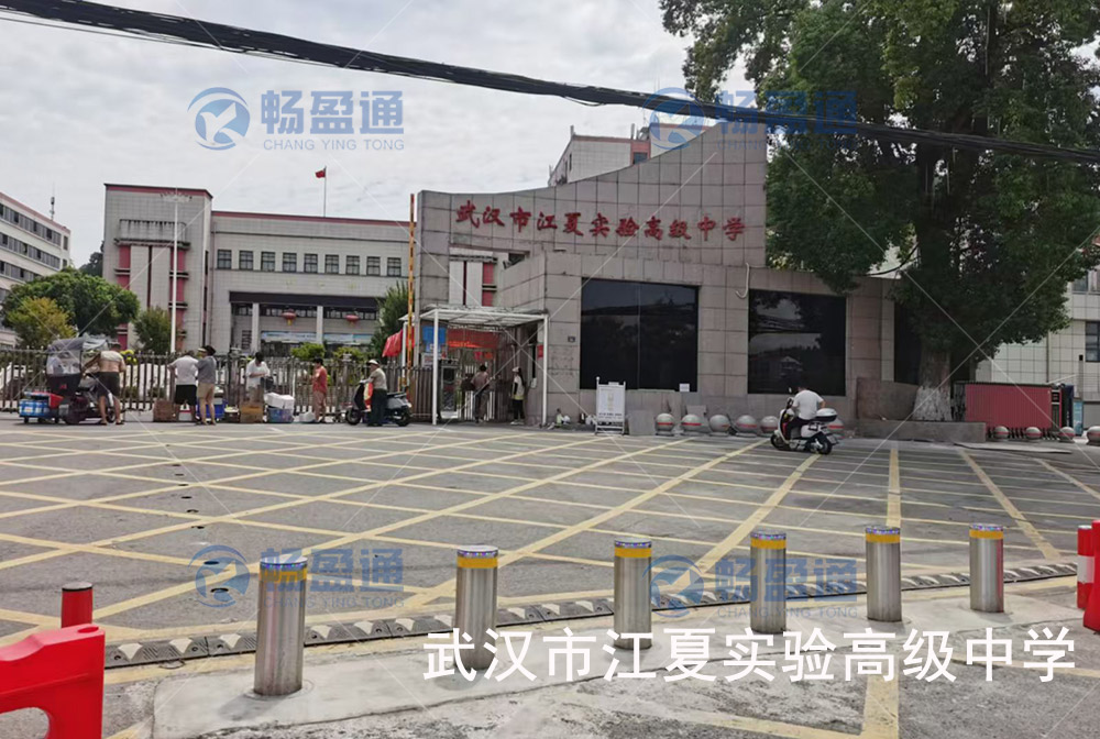 武漢市(shì)江夏實驗高(gāo)級中學